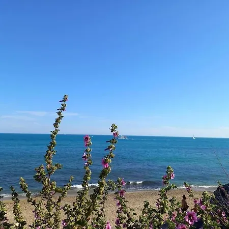 Port Du Cap D'agde *