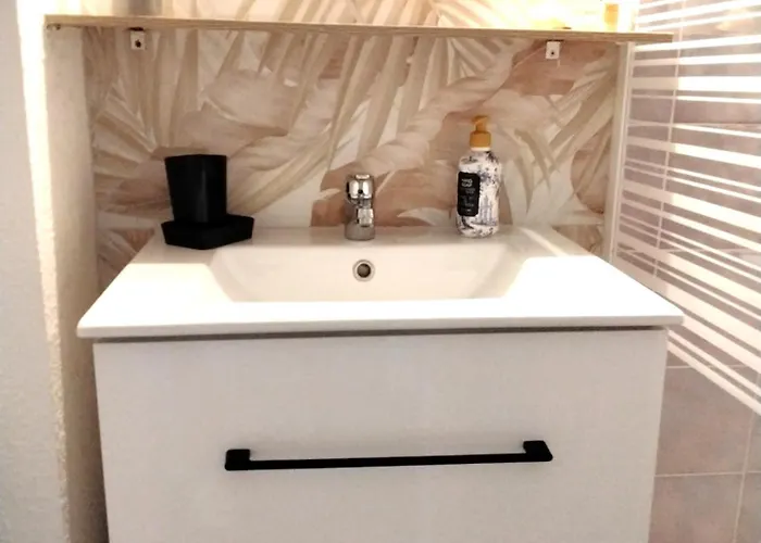 Avec Loggia Ideal Cap D'agde * Agde